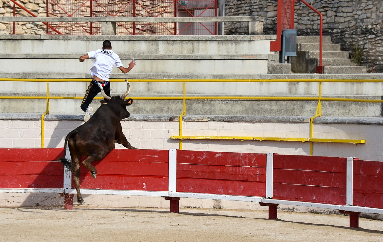 6枚金牌告急！王励勤走险棋，48岁新帅真能顶住吗？