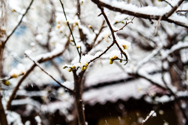 是打法范