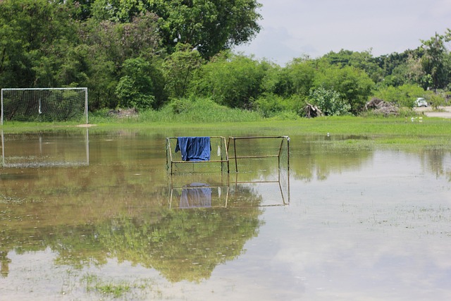 是为了金牌 是为了金牌