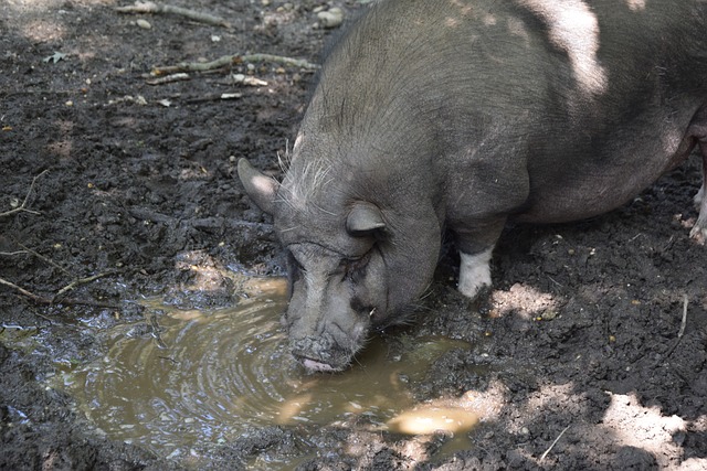 使其在应对 使其在应对